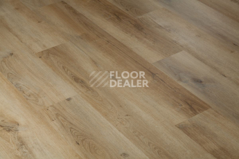 Tarkett Funky House BOB фото 2 | FLOORDEALER